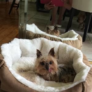 Meet your Posher, Katherine